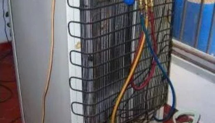 refrigeration done by magic refrigeration and cold room